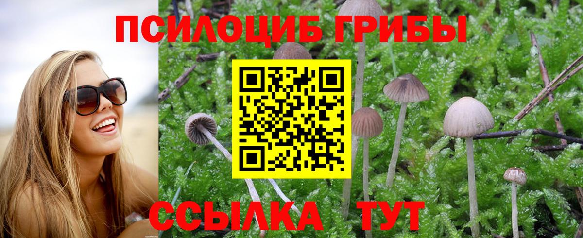 Галлюциногенные грибы ЛСД  Вход с VPN  Галлюциногенные грибы мухоморы  Можайск 